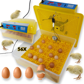 Inkubator za jaja Front 1