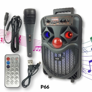 Bluetooth karaoke zvučnik P66 _FRONT_1