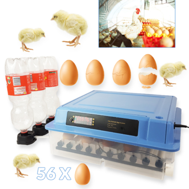 Inkubator za 56 jaja sa kontrolom vlage i temperature Front 1