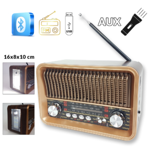 Bluetooth radio GOL-134 Front 1