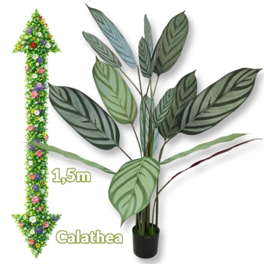 Umjetni cvijet - Calathea 1,5m G705 Front 1